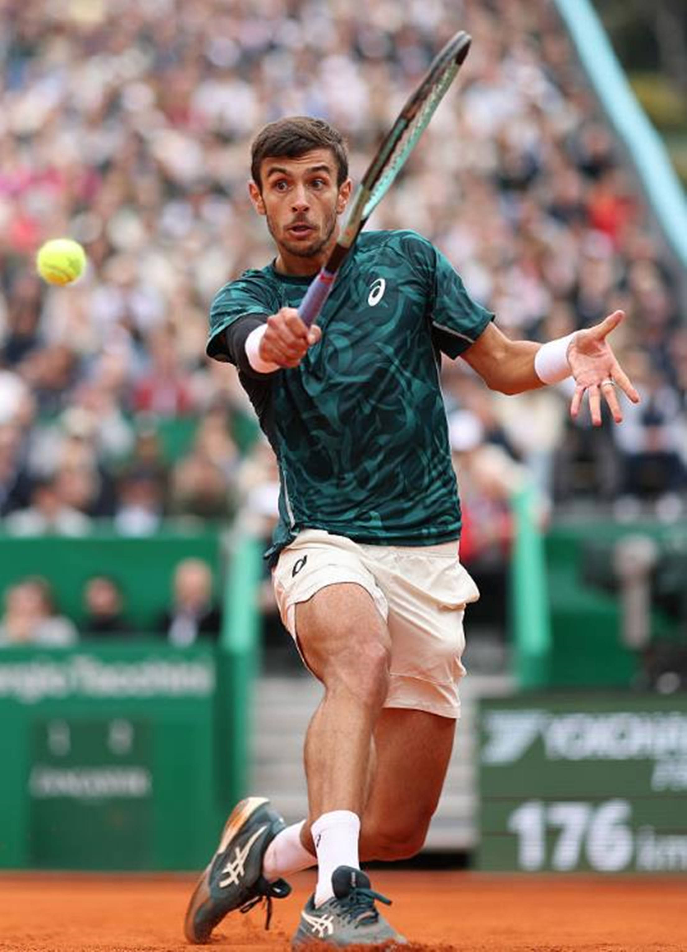 潘政琮的调 潘政琮的调